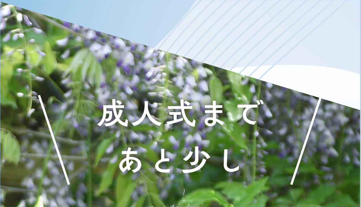 成人式まであと少し